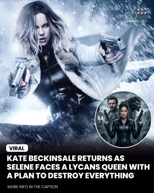 The Vampire–Lycan War Returns in a Dark New Evolution | Selene’s Choice Changes Everything